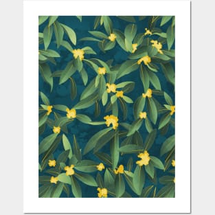 Loquat medlar flower in Autumn // pattern // dark background Posters and Art